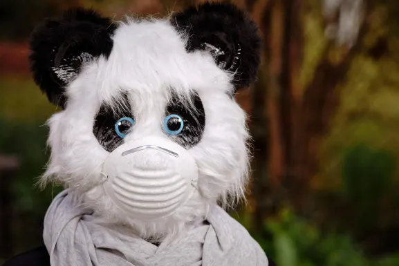 Καζίνο Χοτ Λάιν Υποστηριξη